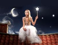 Chimney Fairy Chimney Repair Jacksonville Florida Georgia