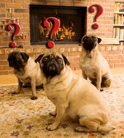 Chimney and Fireplace Questions Jacksonville Florida